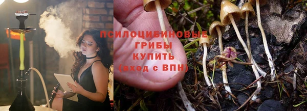 трава Гусь-Хрустальный